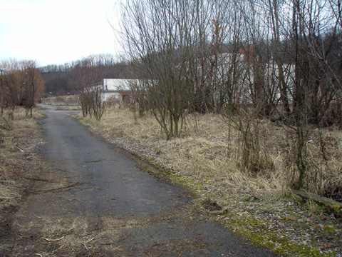 Foto 50